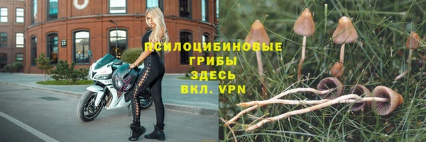 бутират Армянск