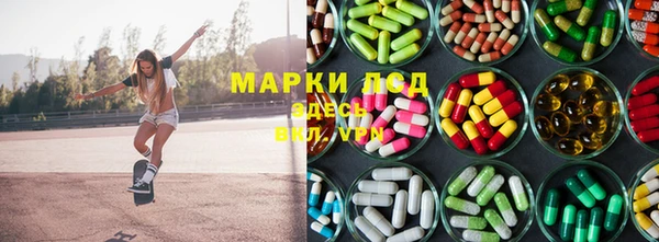 мяу мяу мука Аркадак